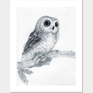 Owl Posters and Art